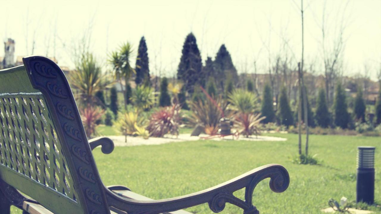 Casa Da Alzira Guest House Anadia Eksteriør bilde