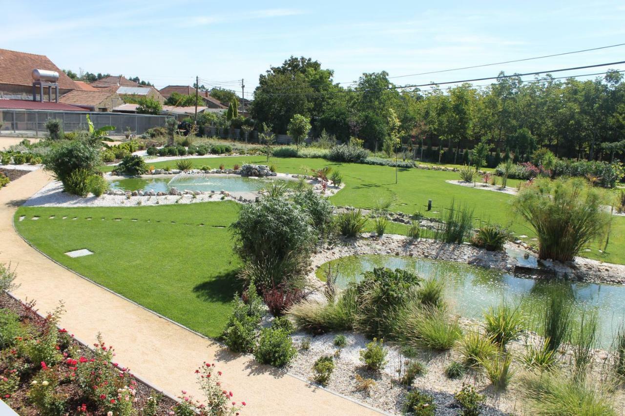 Casa Da Alzira Guest House Anadia Eksteriør bilde