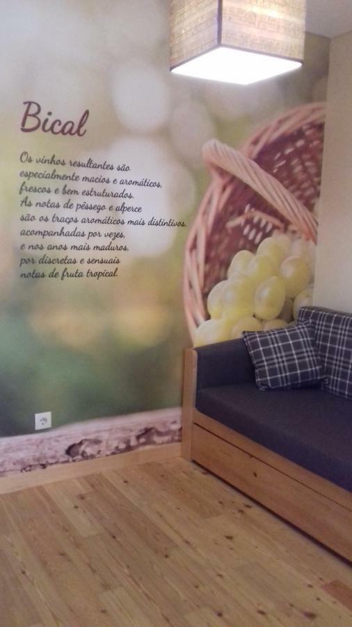 Casa Da Alzira Guest House Anadia Eksteriør bilde